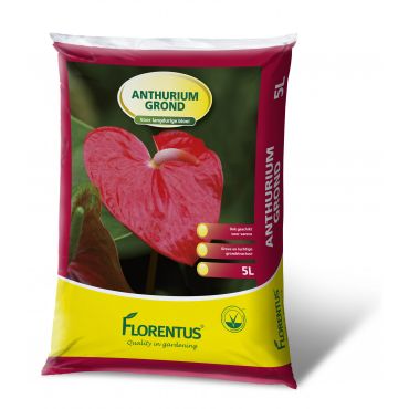 Florentus grond voor anthurium 5L