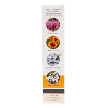 Friendly Flowers Vlinders Laag 15m2 - afbeelding 5