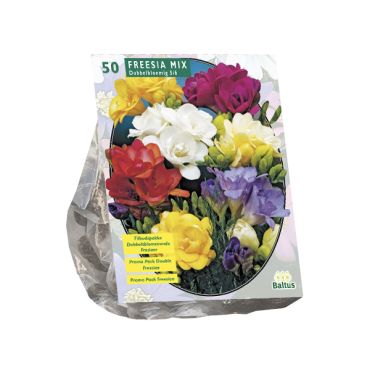 Freesia dubbel mix 
