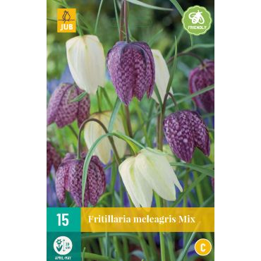 Fritillaria meleagris Mix