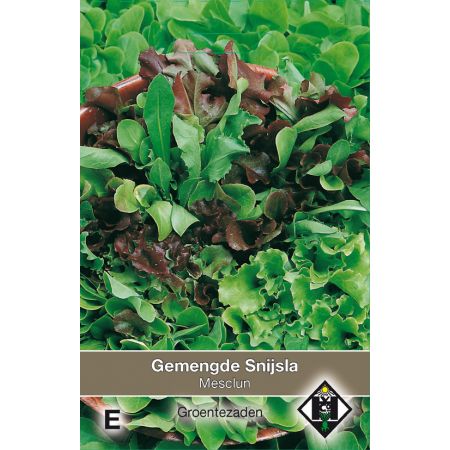 Gemengde snijsla Mesclun - afbeelding 1