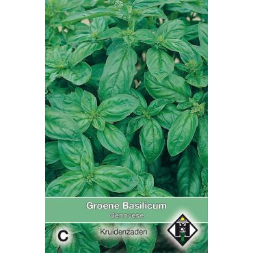 Groene basilicum Genovese - afbeelding 1