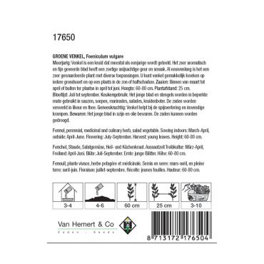 Groene Venkel / Foeniculum - afbeelding 2