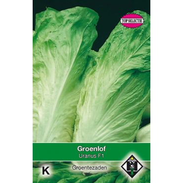 Groenlof Uranus F1 - afbeelding 1