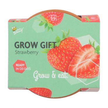 Buzzy® Grow Gift Aardbei - afbeelding 3