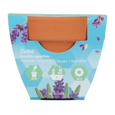 Buzzy® Grow Gift Lavendel - afbeelding 2