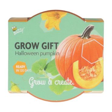 Buzzy® Grow Gift Pompoen - afbeelding 3
