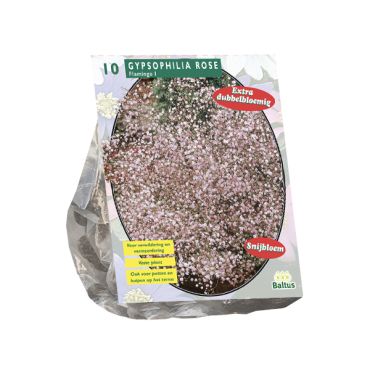 Gypsophila paniculata roze 10st