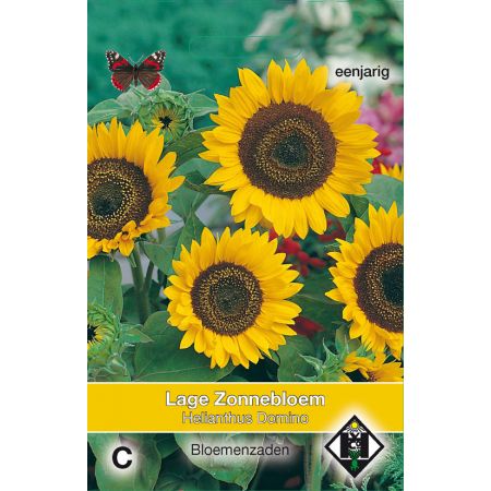 Helianthus a. Domino - afbeelding 1