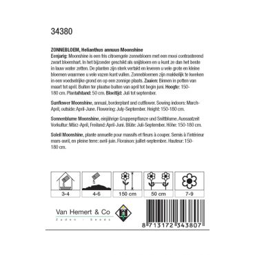 Helianthus a. Moonshine - afbeelding 2