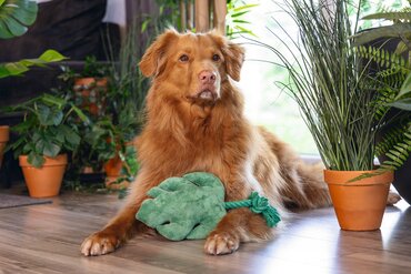 Beeztees jungle pluche knuffel blad - afbeelding 2