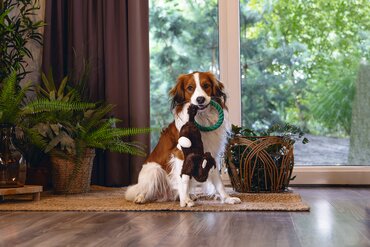 Beeztees jungle pluche knuffel aap - afbeelding 2