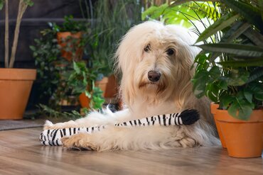 Beeztees jungle pluche knuffel zebra staart - afbeelding 2
