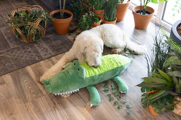 Beeztees jungle pluche knuffel krokodil - afbeelding 6