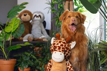 Beeztees jungle pluche knuffel giraf 85 cm - afbeelding 4