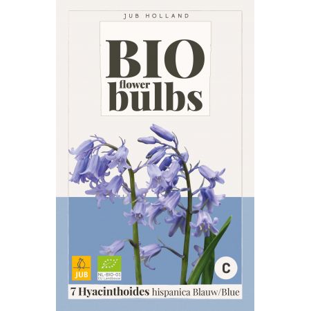 Hyacinthushoides hispanica Blauw - bio