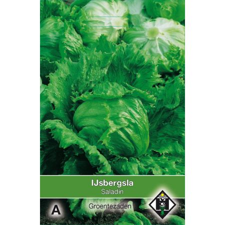IJsbergsla Saladin - afbeelding 1