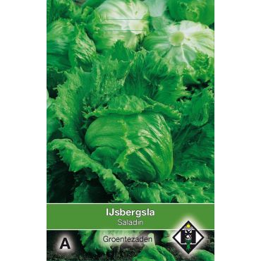 IJsbergsla Saladin - afbeelding 1
