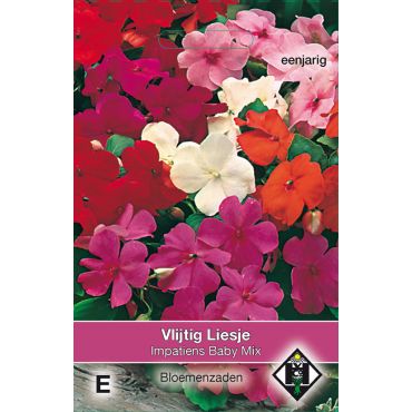Impatiens walleriana Baby Mix - afbeelding 1