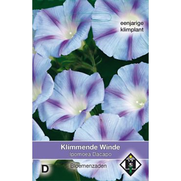 Ipomoea purpurea 'Dacapo' - klimmende winde - afbeelding 1