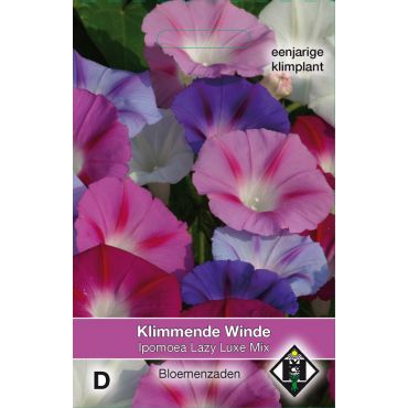 Ipomoea purpurea 'Lazy Luxe Mix' - klimmende winde - afbeelding 1