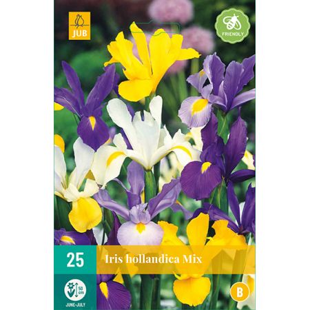 Iris hollandica mix 25st
