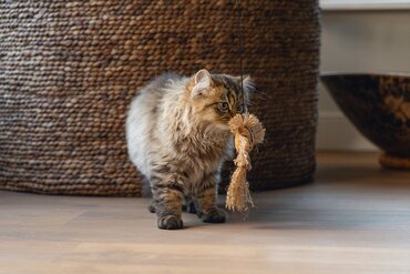Beeztees jungle kattenhengel leeuw - afbeelding 3