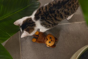 Beeztees jungle aap pluche kattenspeeltje - afbeelding 3