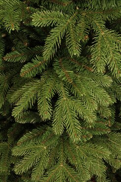 Black Box Trees Brampton Slim kunstkerstboom - afbeelding 2