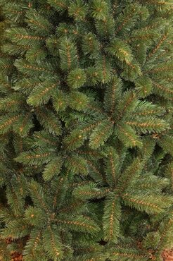 Triumph Tree kunstkerstboom forest fir smal 215 cm - afbeelding 4