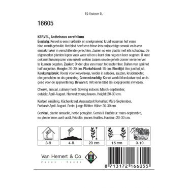 Kervel / Anthriscus - afbeelding 2