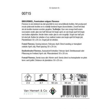 Knolvenkel Florence - afbeelding 2