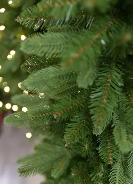 Kuntskerstboom Koge Pencil 228 cm - afbeelding 2