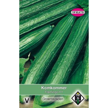 Komkommer Flamingo F1 - afbeelding 1