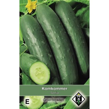 Komkommer Sonja - afbeelding 1