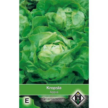 Kropsla Appia - afbeelding 1