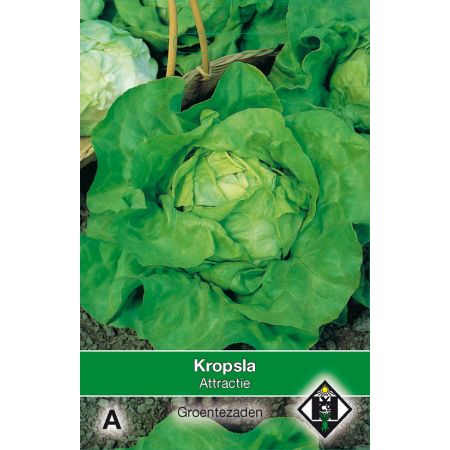 Kropsla 'Attractie' - afbeelding 1