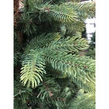 Kunstkerstboom Dayton LED 185cm - Black Box Trees - afbeelding 3