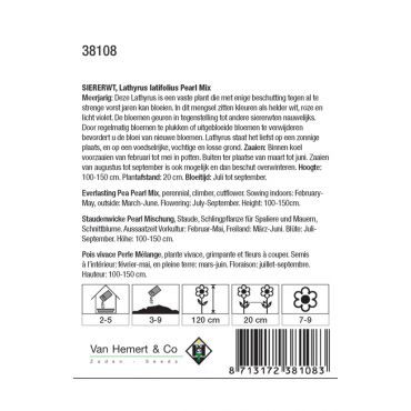 Lathyrus latifolius Pearl gemengd - siererwt - afbeelding 2