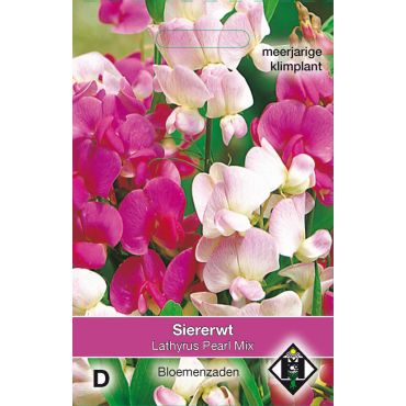 Lathyrus latifolius Pearl gemengd - siererwt - afbeelding 2