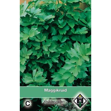 Lavas, Maggikruid / Levisticum - afbeelding 1