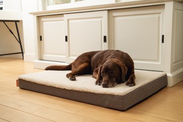 Ligkussen foam 'Zira' beige - afbeelding 2