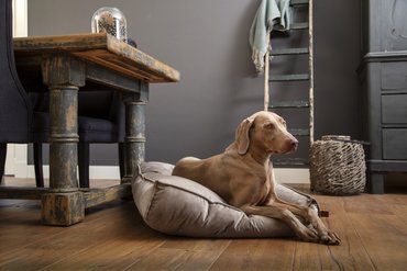 Ligkussen 'Nalino' beige - afbeelding 2