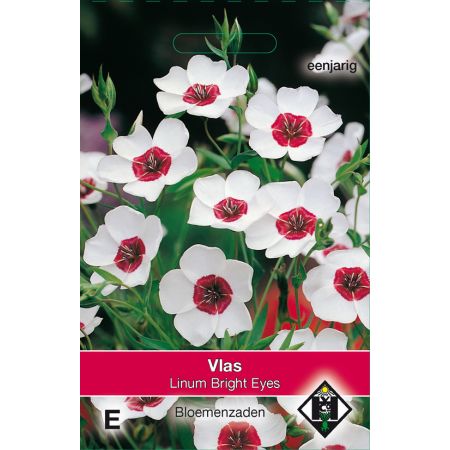 Linum grandiflorum Bright Eyes - afbeelding 1