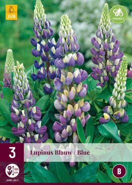 Lupinus blauw