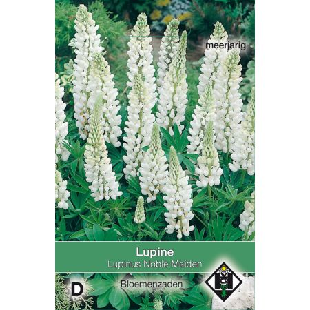 Lupinus polyphyllus Noble Maiden - afbeelding 1