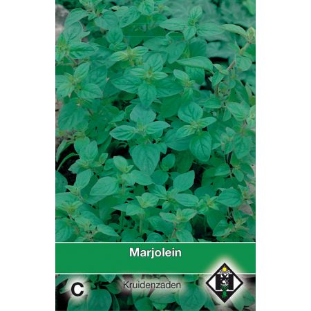 Marjolein / Origanum - afbeelding 1