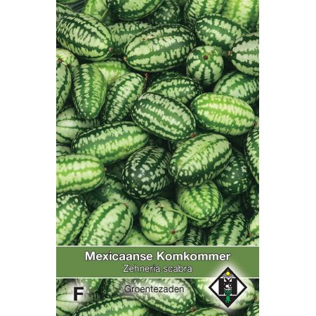 Mex. Komkommer Zehneria scabra - afbeelding 1