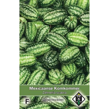 Mex. Komkommer Zehneria scabra - afbeelding 1