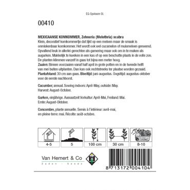 Mex. Komkommer Zehneria scabra - afbeelding 2